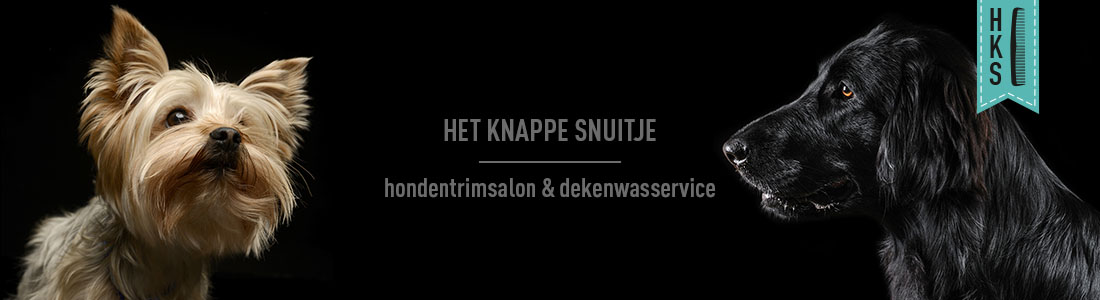 het-knappe-snuitje-banner-02 het knappe snuitje hondentrimsalon etten-leur banner