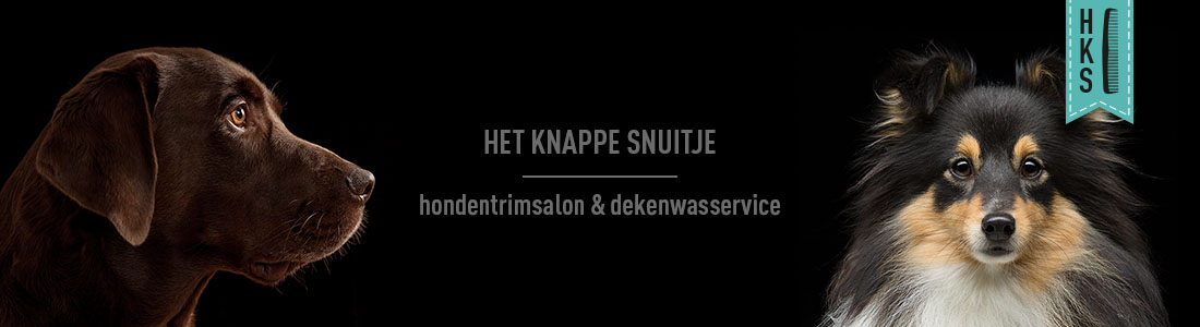 het-knappe-snuitje-banner-03 het knappe snuitje hondentrimsalon etten-leur banner