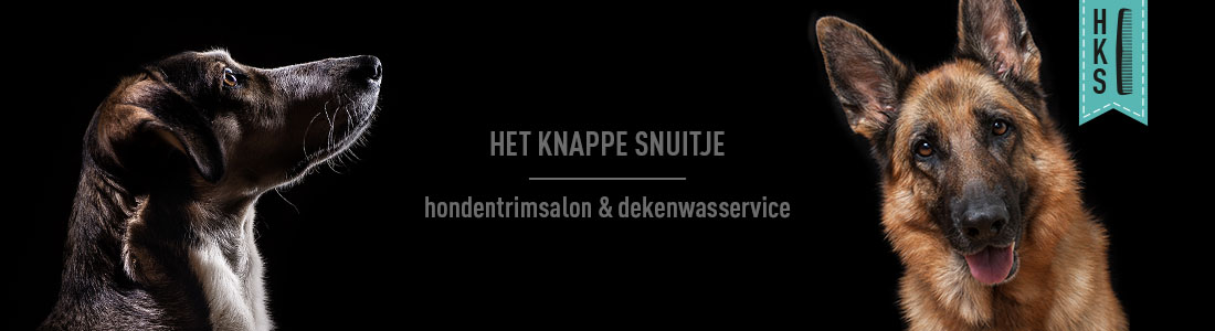 het-knappe-snuitje-banner-05 het knappe snuitje hondentrimsalon etten-leur banner