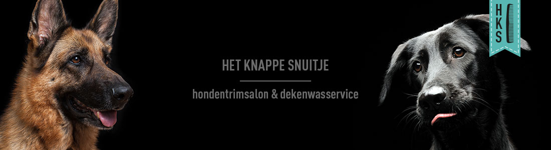 het knappe snuitje hondentrimsalon etten-leur banner