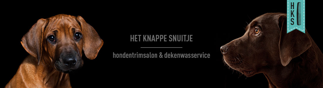 het-knappe-snuitje-banner-09 het knappe snuitje hondentrimsalon etten-leur banner