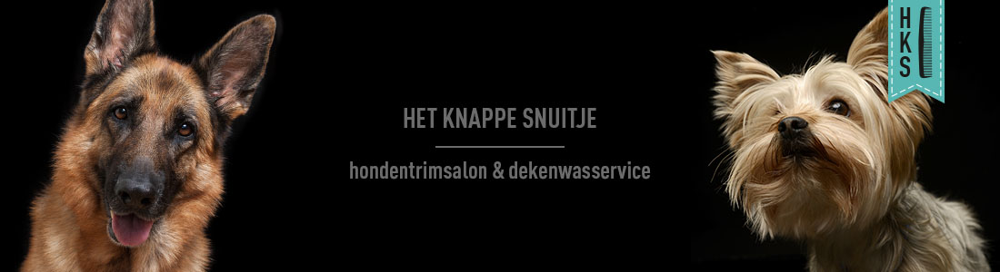 het knappe snuitje hondentrimsalon etten-leur banner
